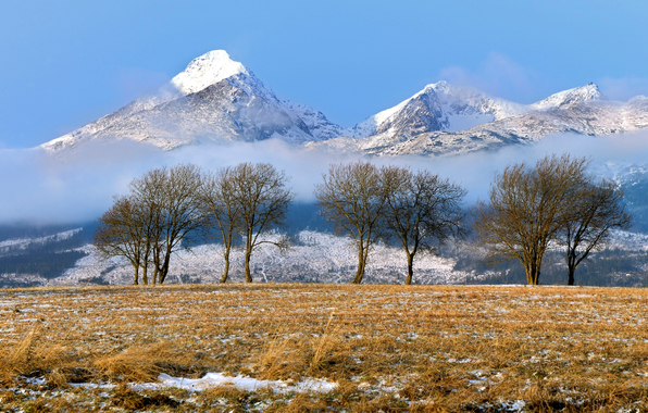 Wallpaper Slovakia Mountains Tatra Winter