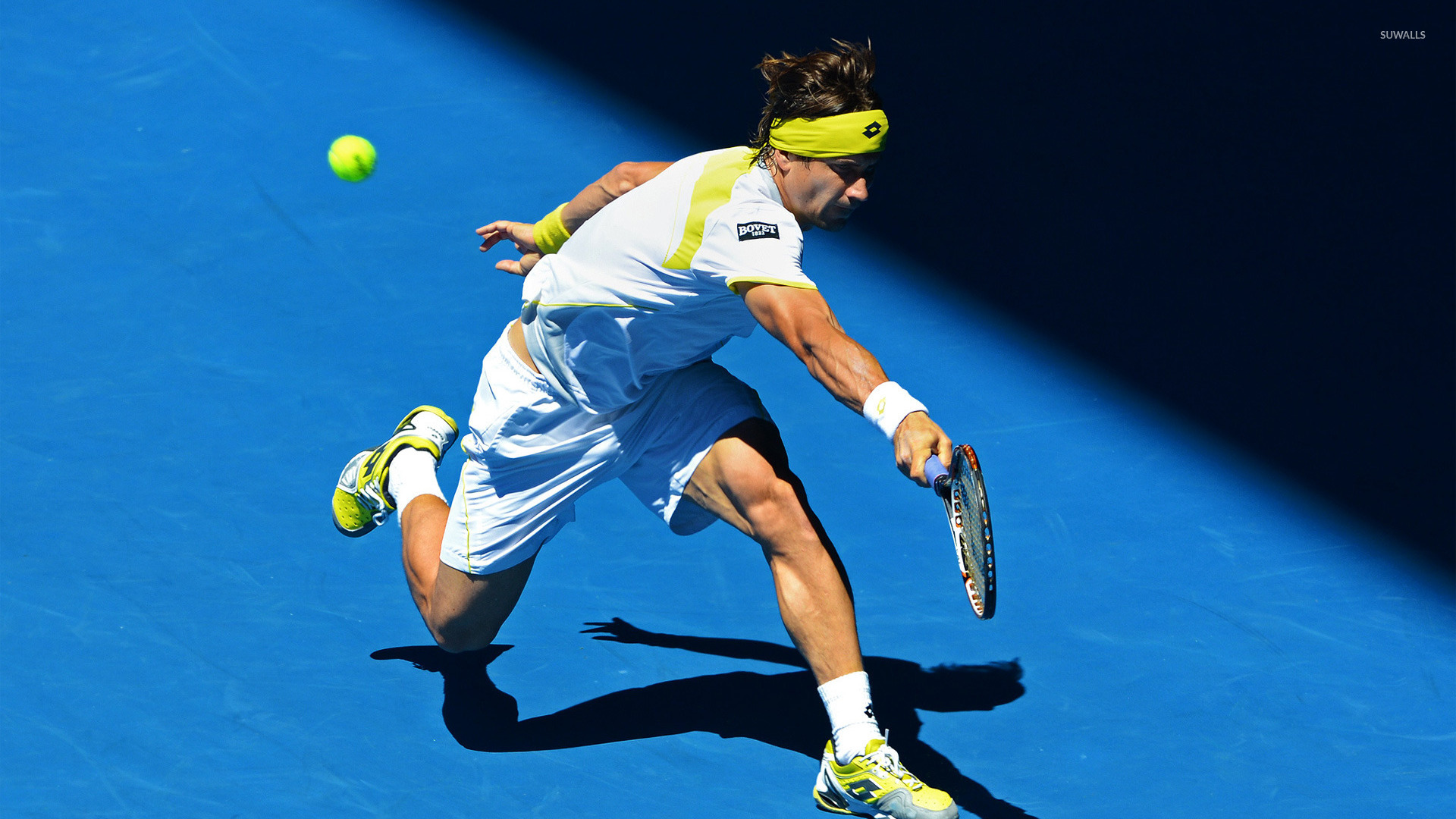 David Ferrer Wallpaper