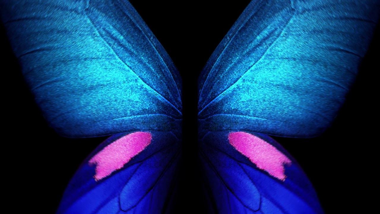 Samsung Galaxy Fold Live Wallpaper Blue Butterfly