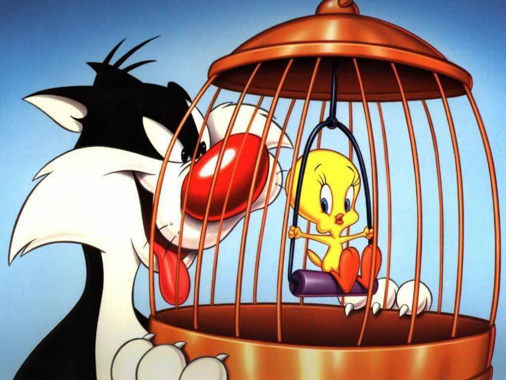 Sylvester Tweety Looney Tunes Wallpaper