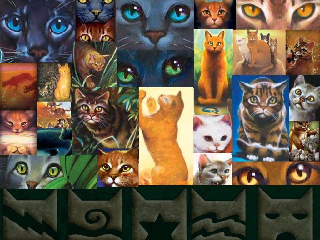 Warrior Cats Collage The With Resolutions Pixel