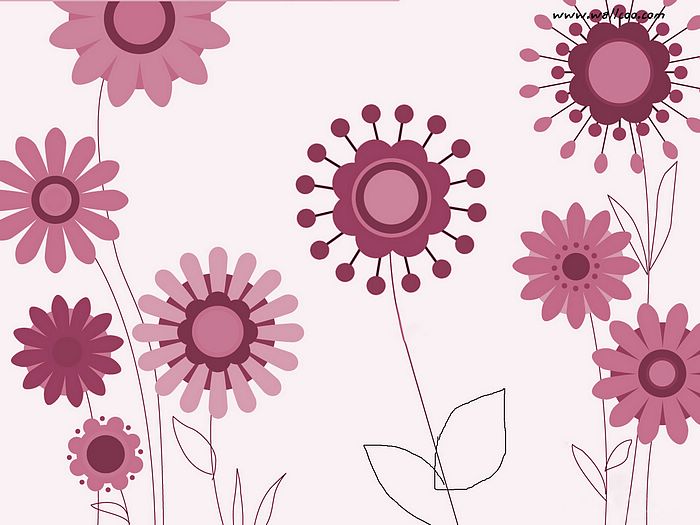 Floral Patterns And Artistic Illustrations Various