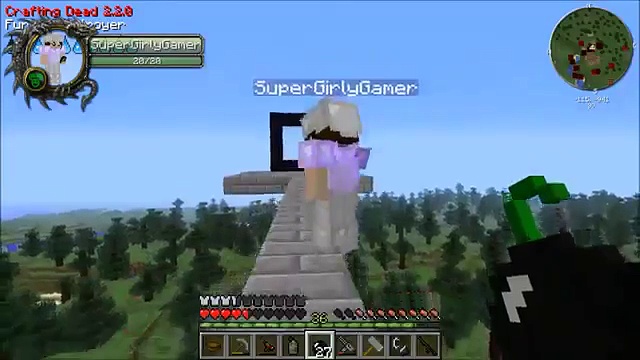 Pics On Minecraft Pat And Jen Hunger Games