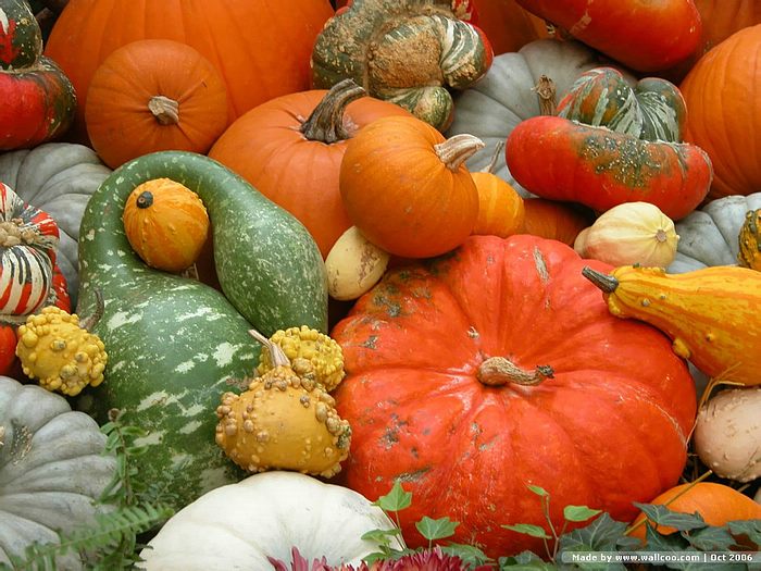 Fall Scenes Wallpaper With Pumpkins Pic2fly