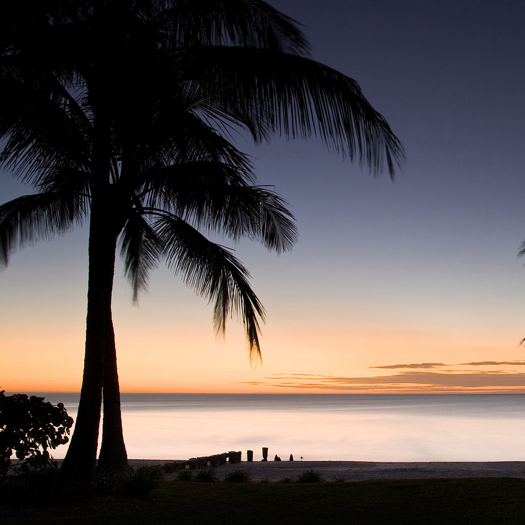 Sunset Palm Trees Wallpaper - WallpaperSafari