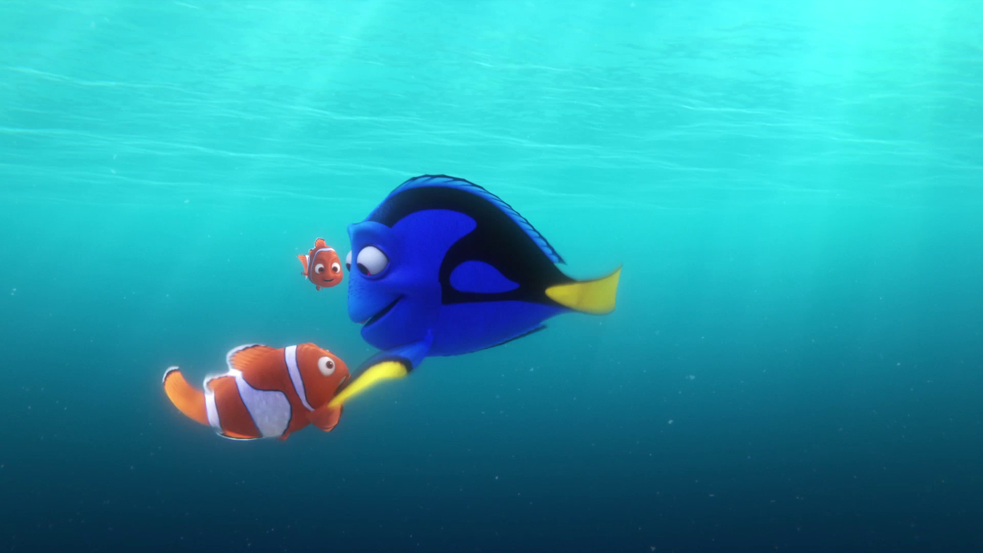 HD Screencaps From Finding Dory Movie Wallpaper