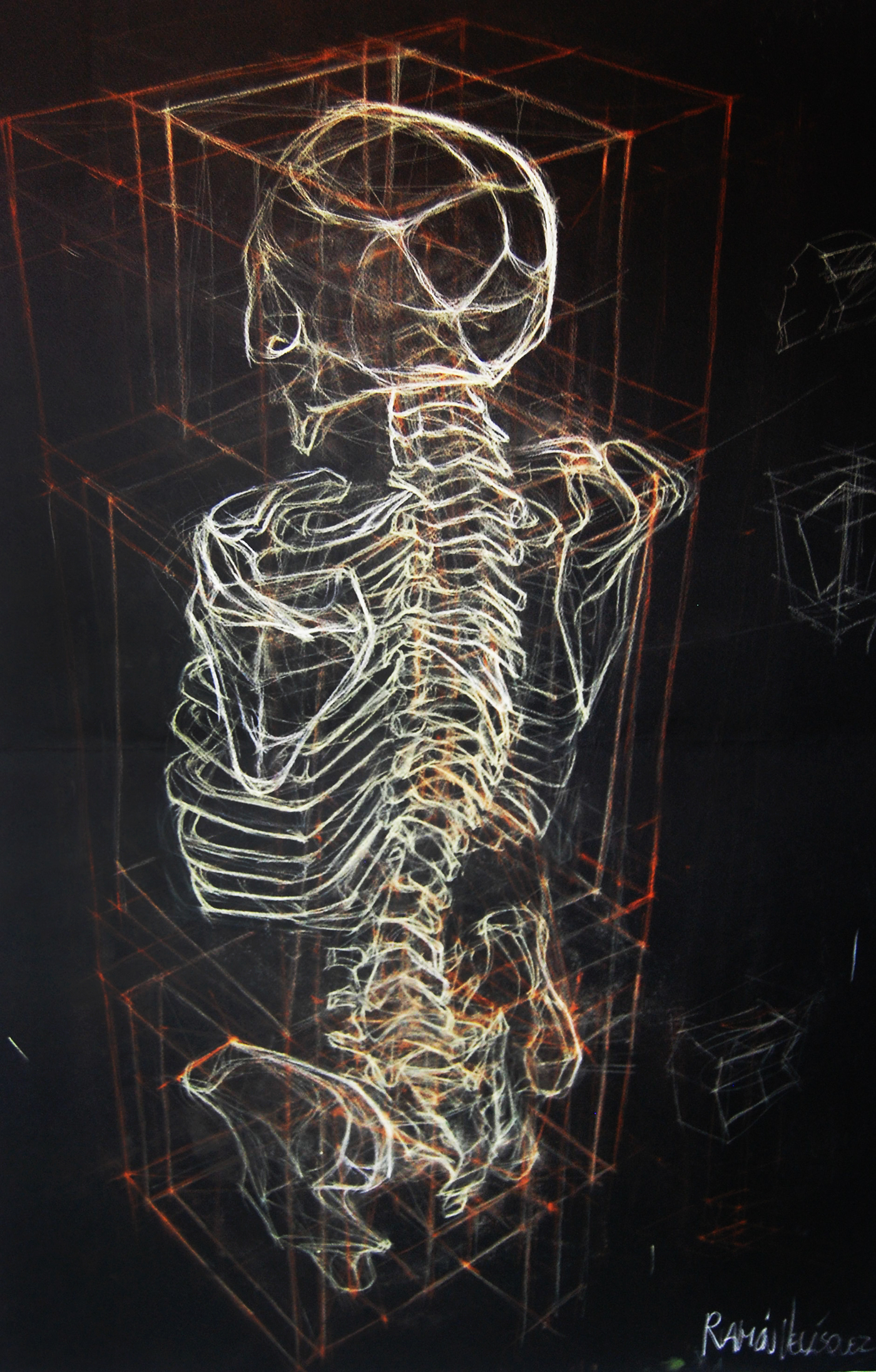 Skeleton Black Background On Wallpaper