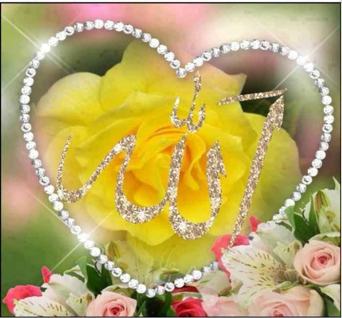 Beautiful Allah Name Wallpaper Live HD Wallpaper HQ Pictures Images 700x650