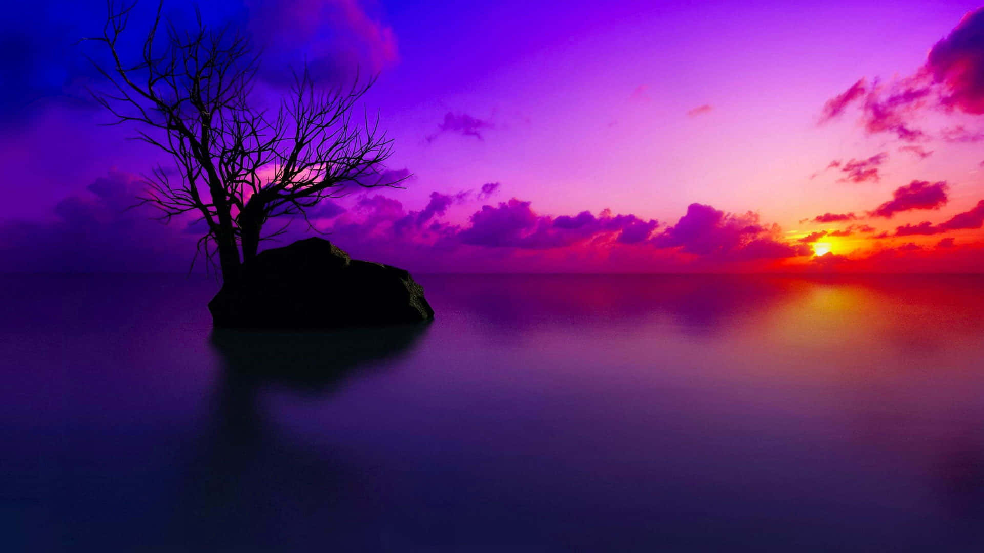 Dark Purple Aesthetic Picture Wallpaper