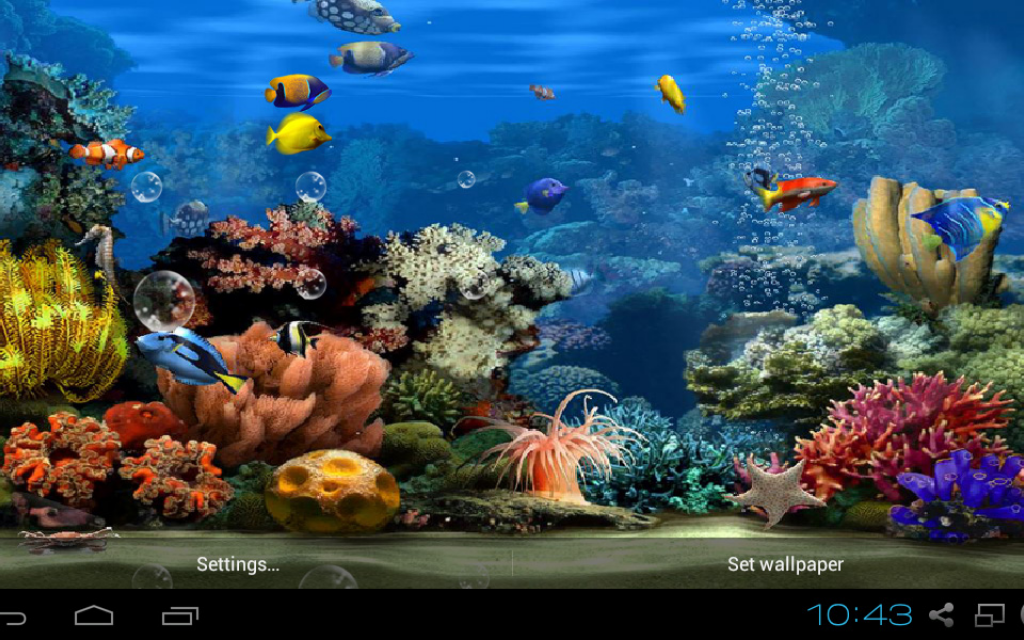 Koi Aquarium Live Wallpaper Apk For Android Aptoide