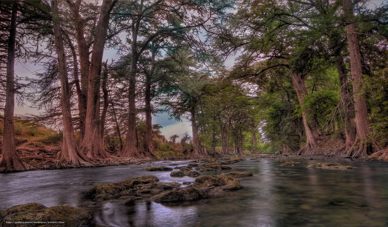 Wallpaper Guadalupe River Hill Country Texas Usa Desktop