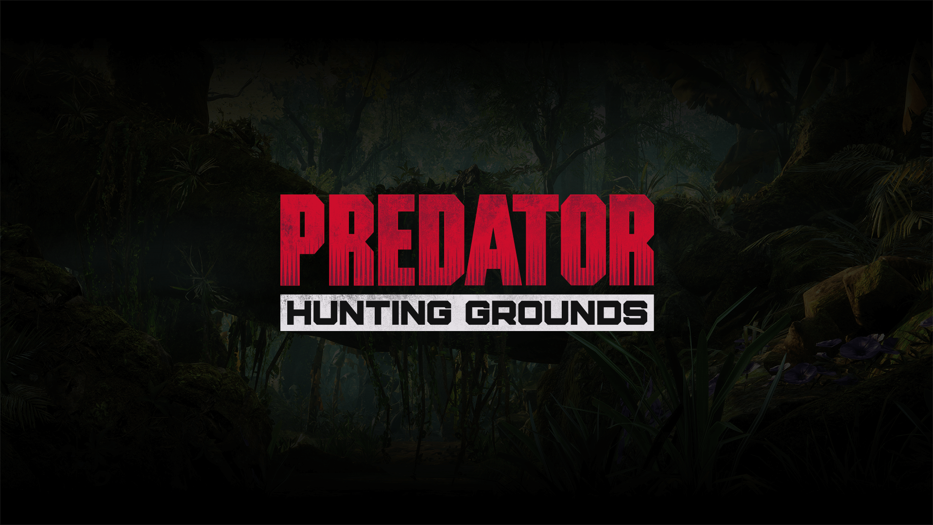 Predator Hunting Grounds Hunt Or Be Hunted
