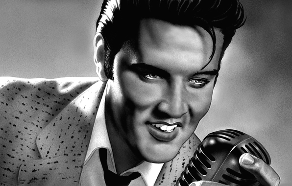 Wallpaper Art Elvis Presley Singer Musician Rock