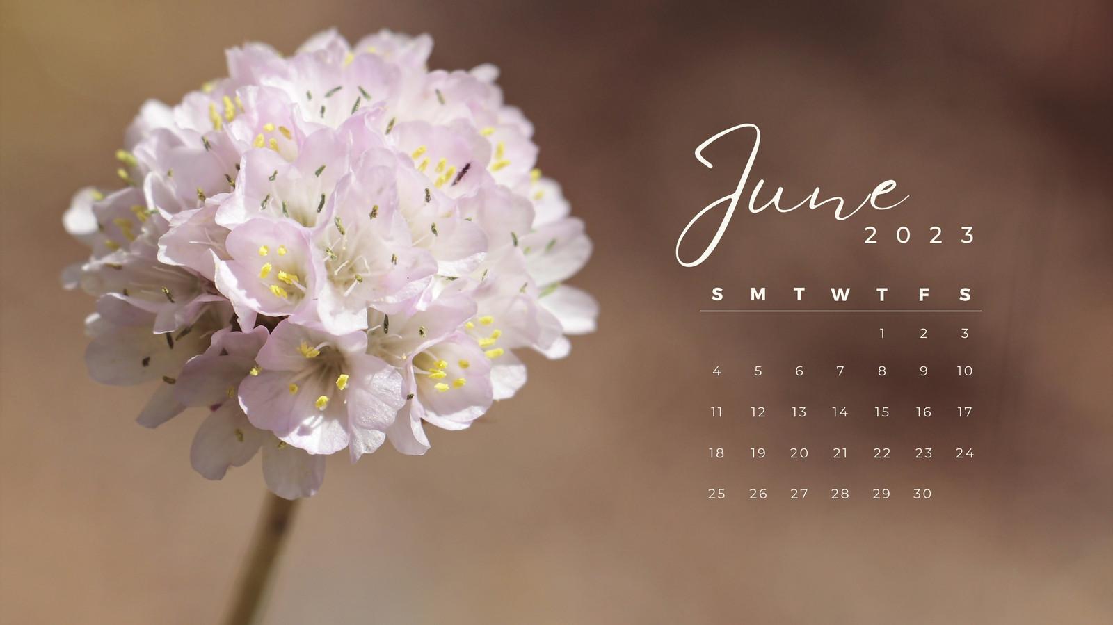 Page 3   Free and customizable spring desktop wallpaper templates
