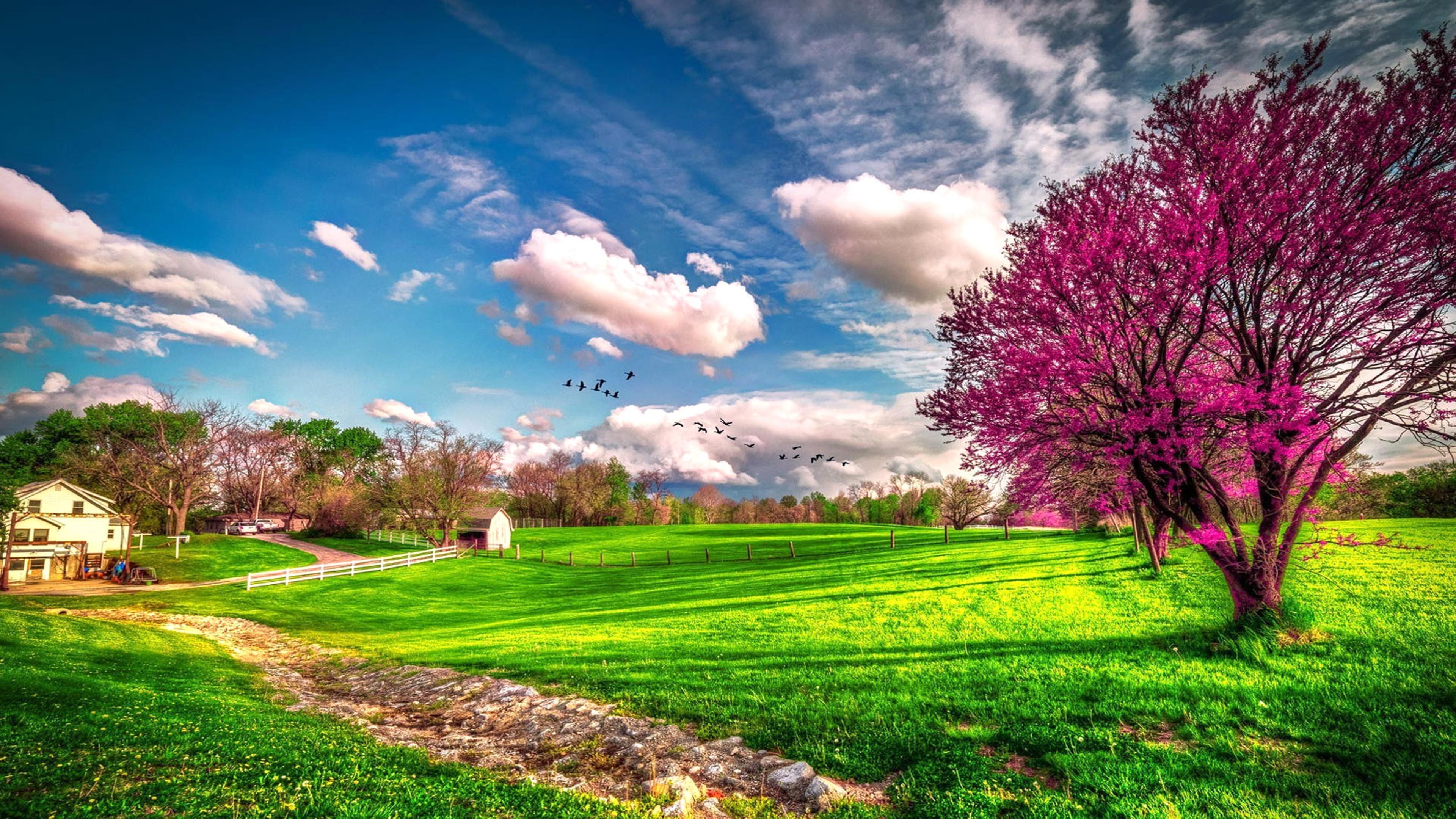 Landscape Beautiful Spring Nature Wallpaper