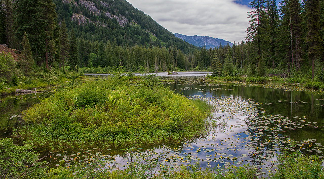 Image Usa Howard Lake North Cascades National Park Nature Parks