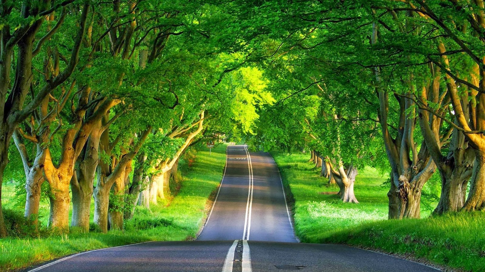 Attractive Natural Scene HD Wallpaper