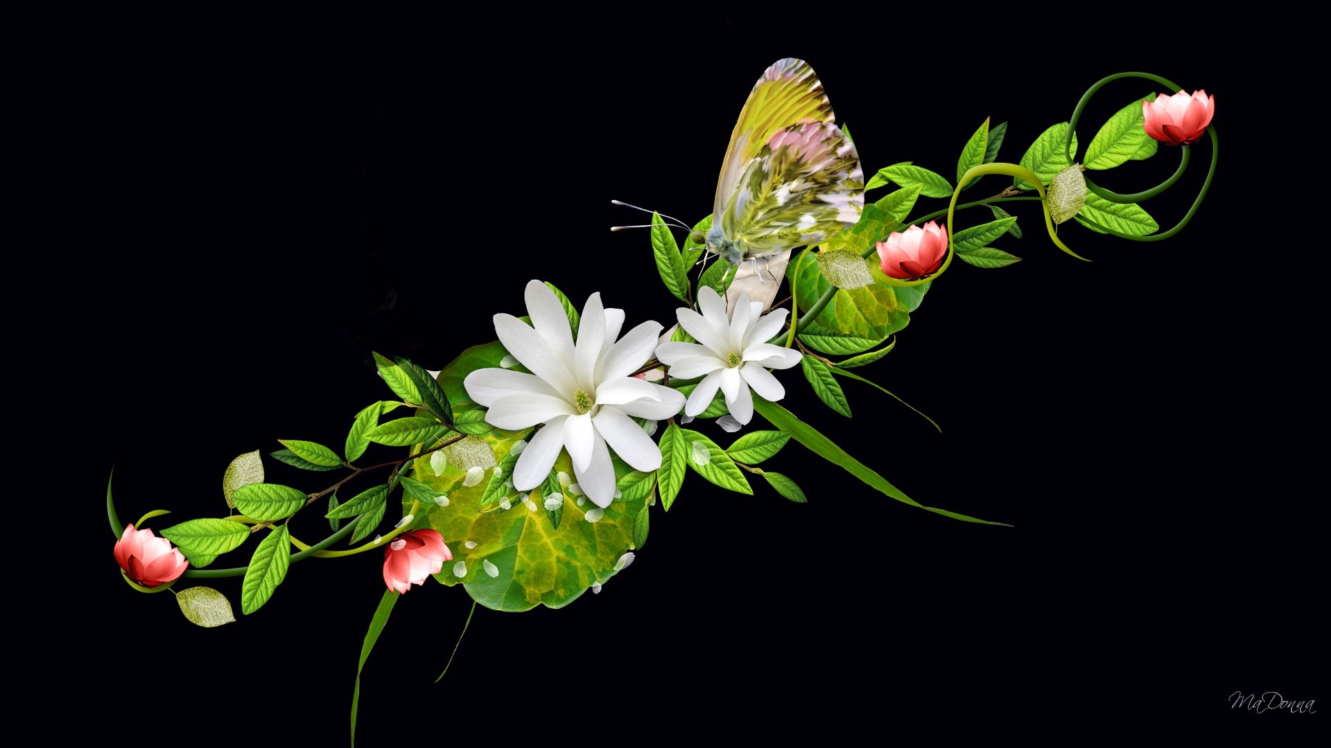HD Flowers Wallpaper