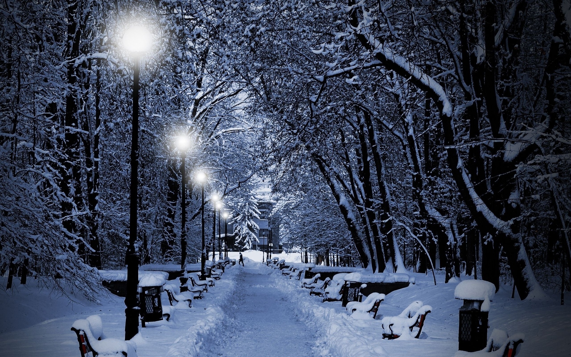 Snowing Trees Park White Night Lights Christmas Wallpaper Background