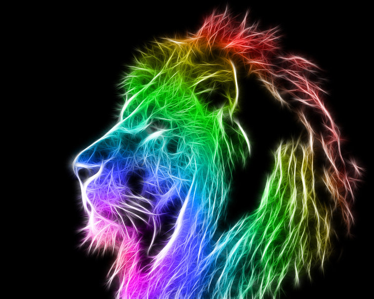 Rainbow Lion Wallpaper