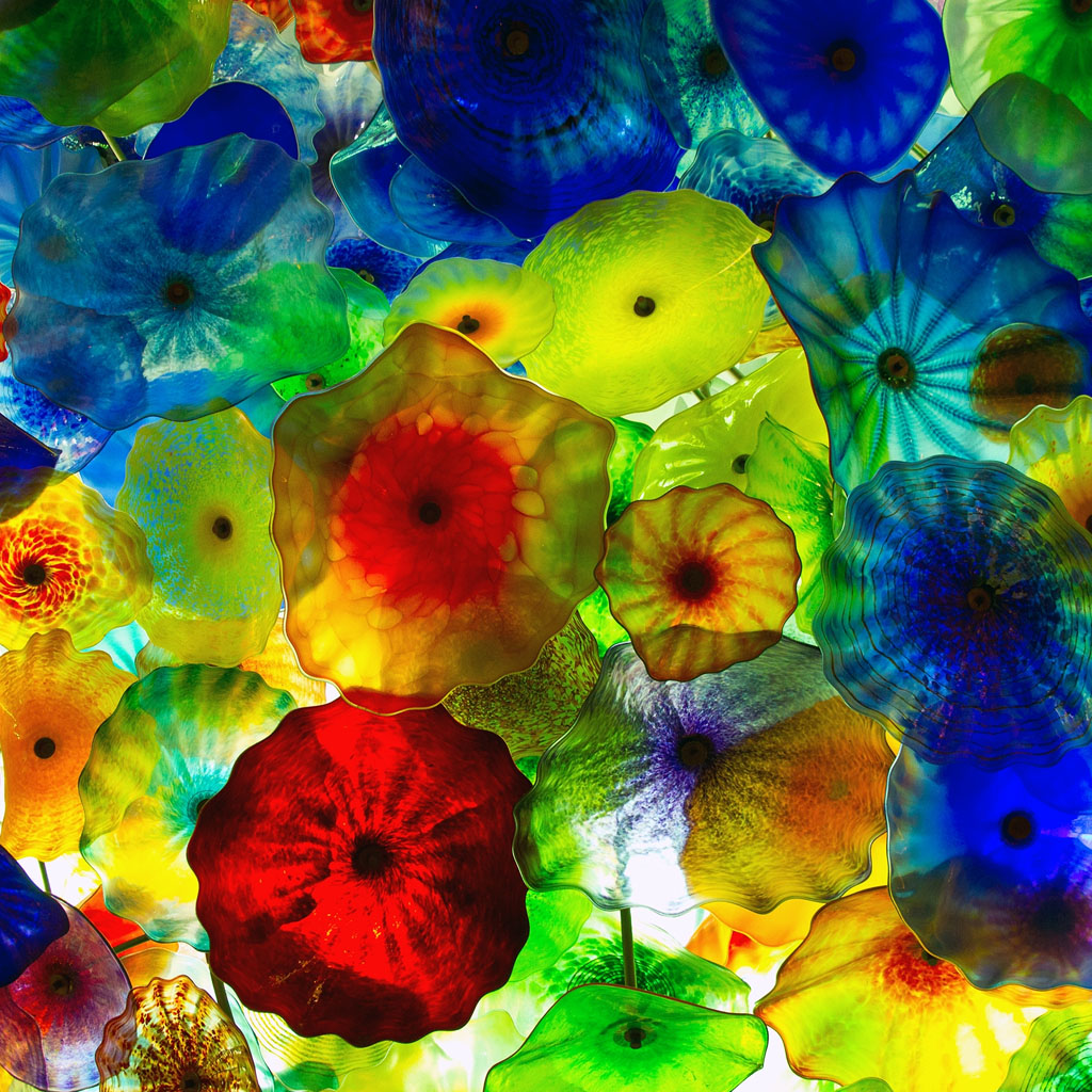Colorful Jellyfish iPad Wallpaper iPhone