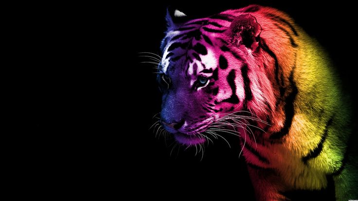 Cool Glow Pictures Tiger HD Wallpaper Love It