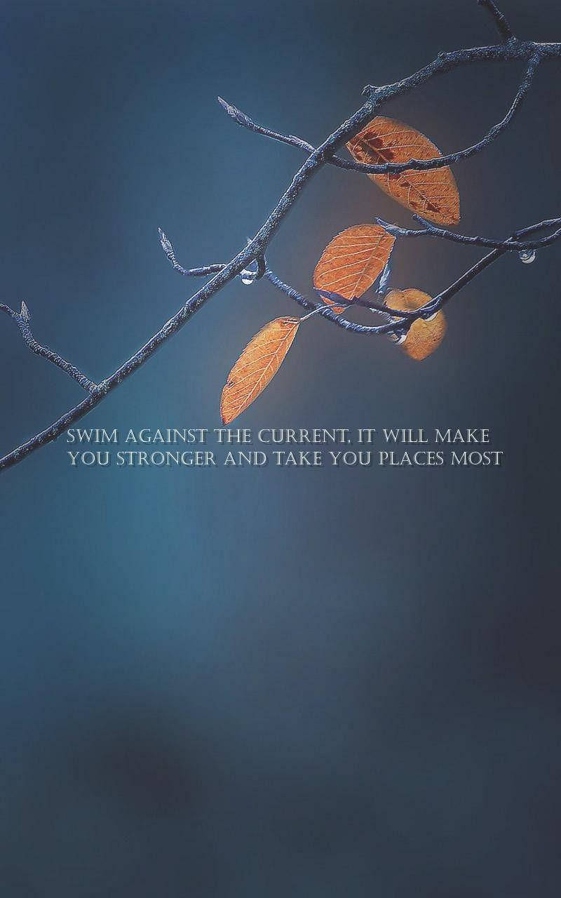 Inspiring Quotes Phone Wallpaper