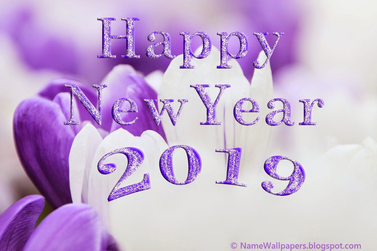 Happy New Year 2019 Wallpapers HD Happ New Year 2019