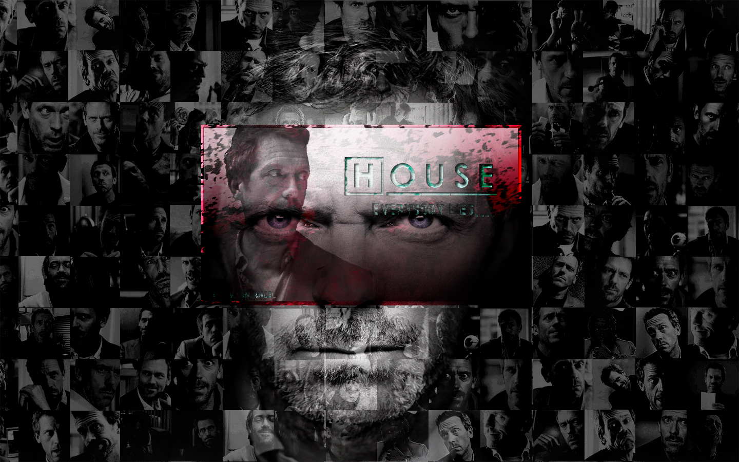 House Md Background M D Wallpaper
