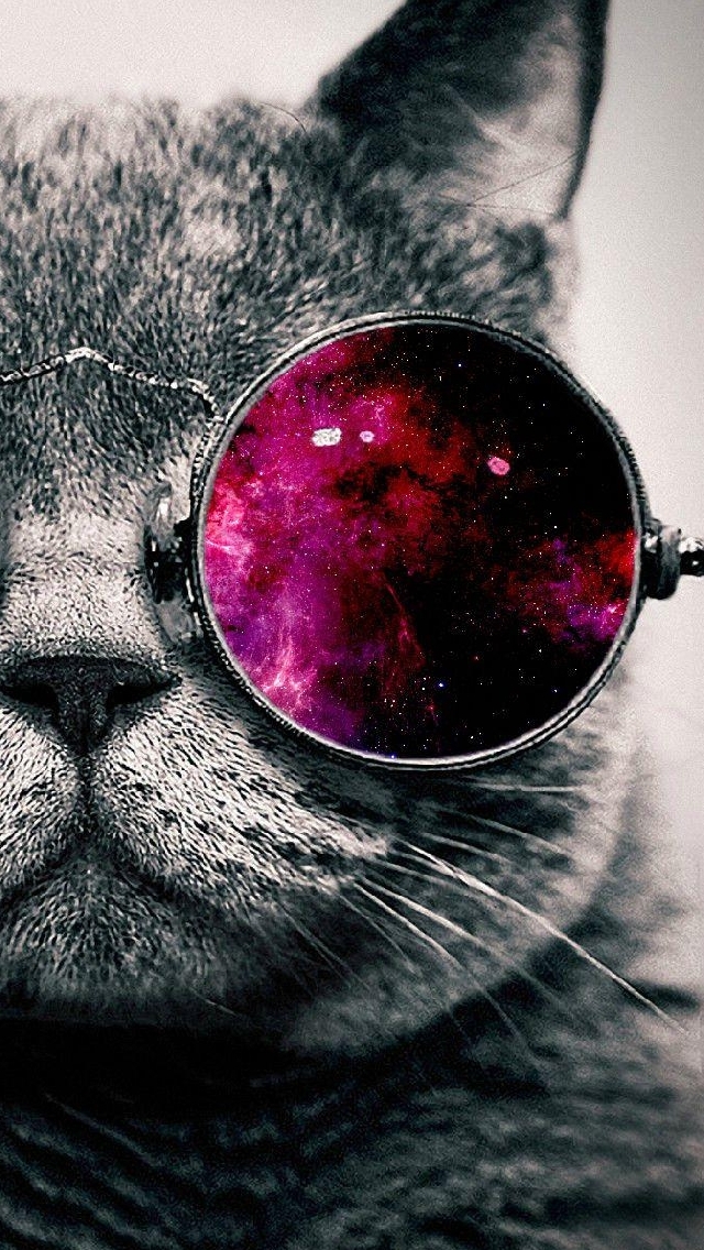 Showing Gallery For Cat With Galaxy Glasses iPhone Wallpaper