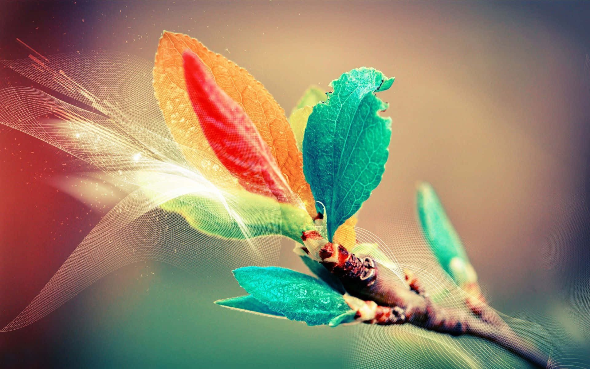 Beautiful Unique Wallpaper