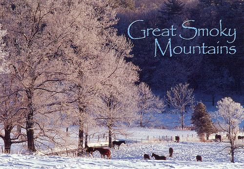 Great Smoky Mountains Winter Flickr   Photo Sharing