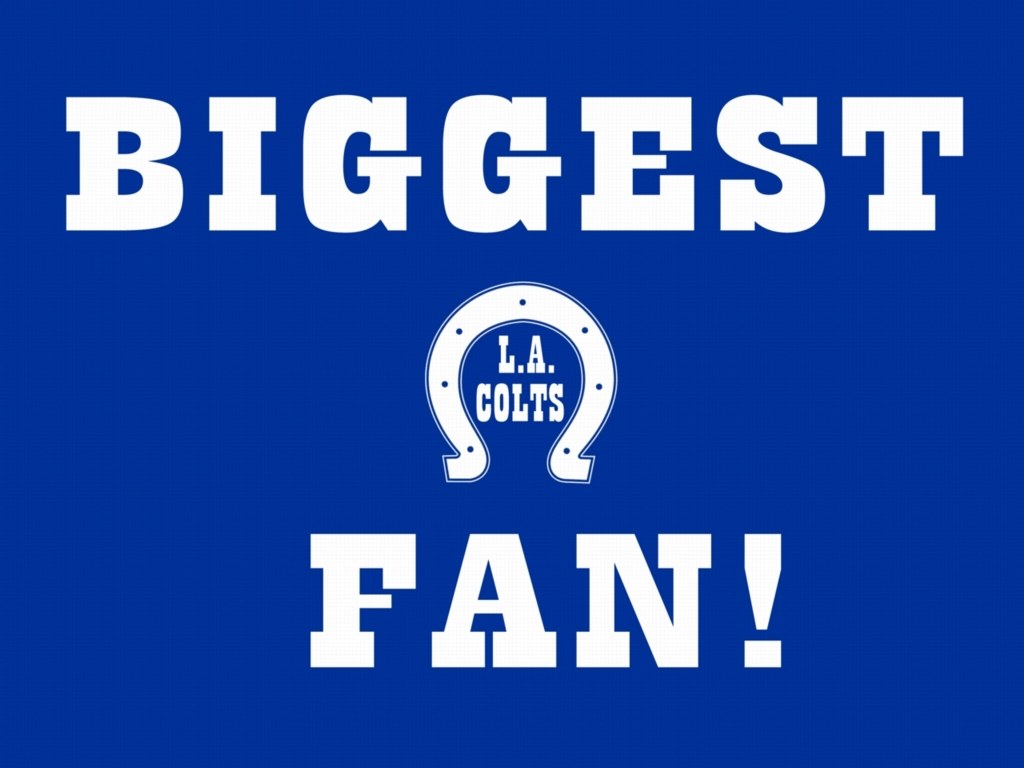 Like Indianapolis Colts Wallpaper Surely You Ll Love This