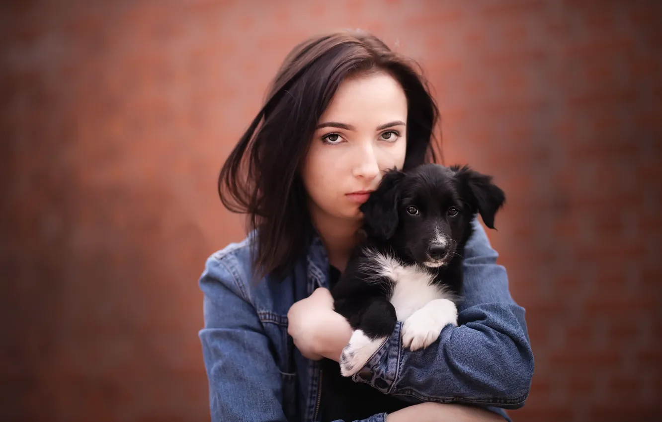 Wallpaper Girl Dog Puppy Image For Desktop Section