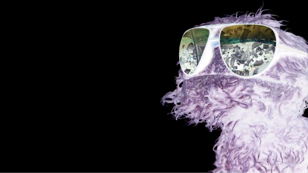 Go Back Gallery For Oscar The Grouch Sunglasses Wallpaper