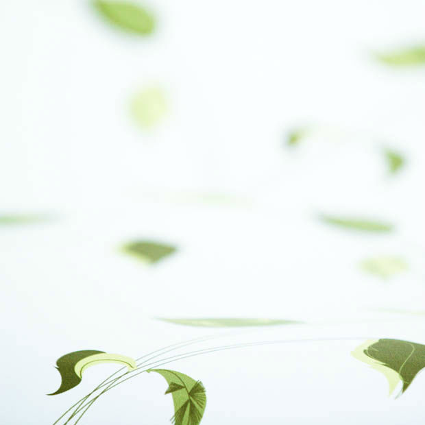 Free download How To Hang Grasscloth Wallpaperpng [501x331] for your