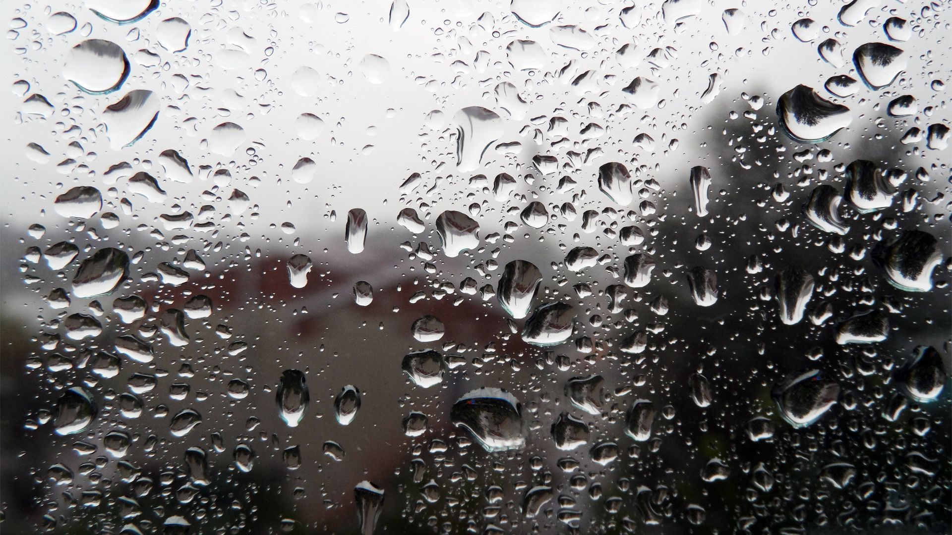 Rain drops on the window Wallpaper