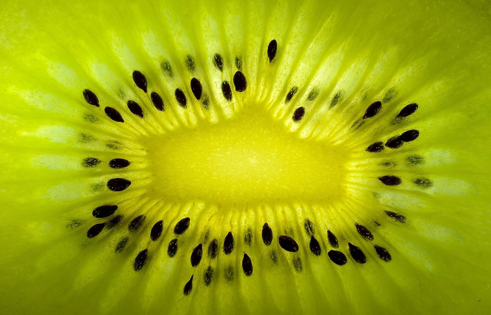 Kiwi Core Macro Vneaqey9p8bzhbjf Wallpaper