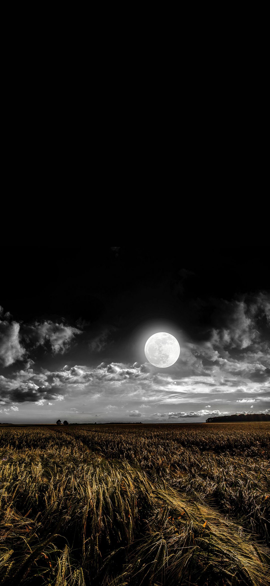 Dark Phone Wallpaper