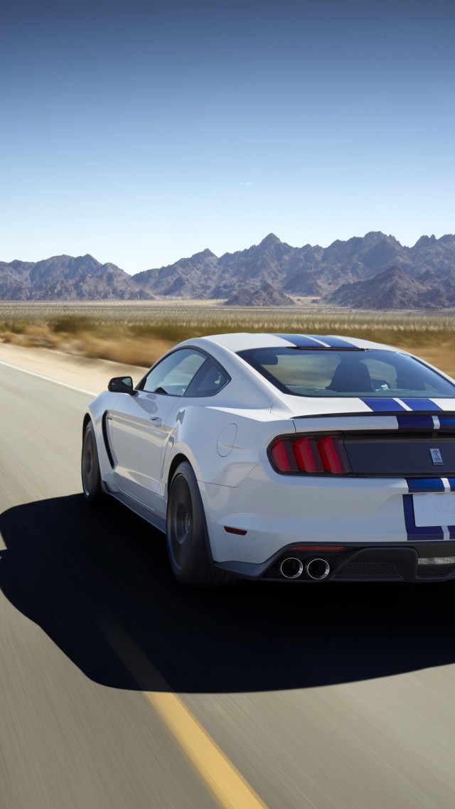 Wallpaper Ford Mustang Shelby Gt350