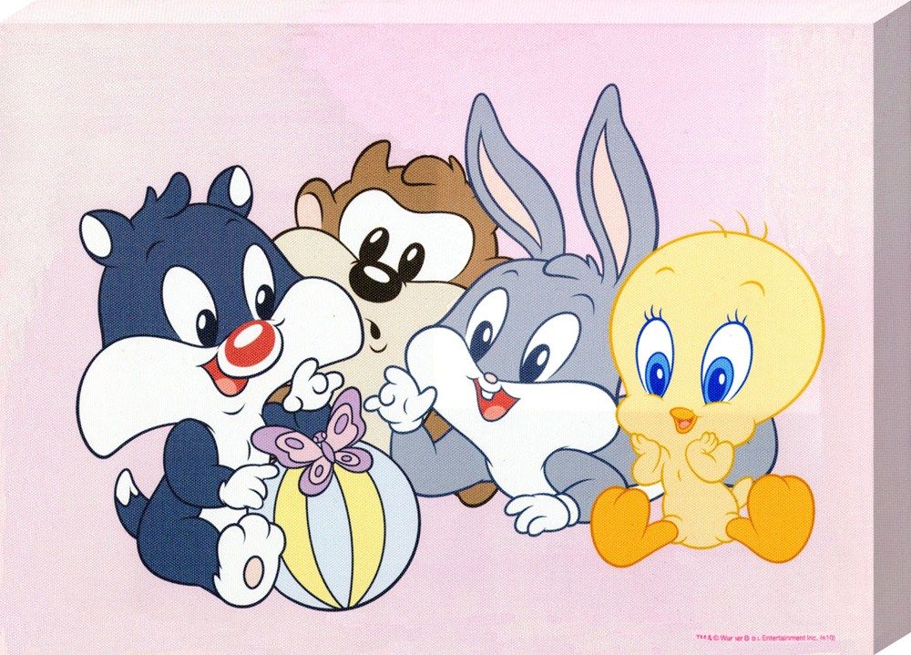 Looney Tunes Characters Wallpapers 1000x719