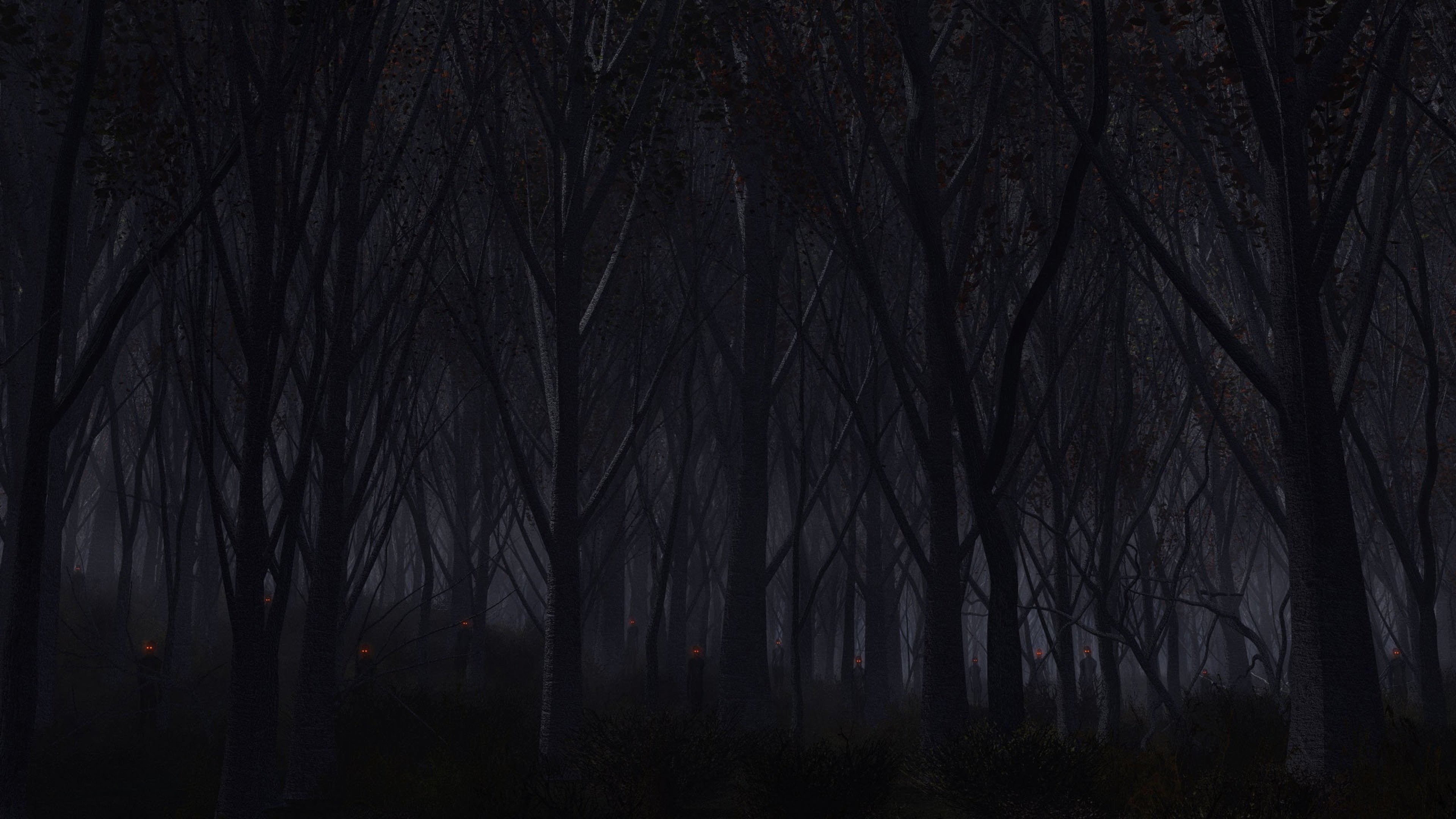 Free download Download Wallpaper 3840x2160 Forest Trees Background Dark