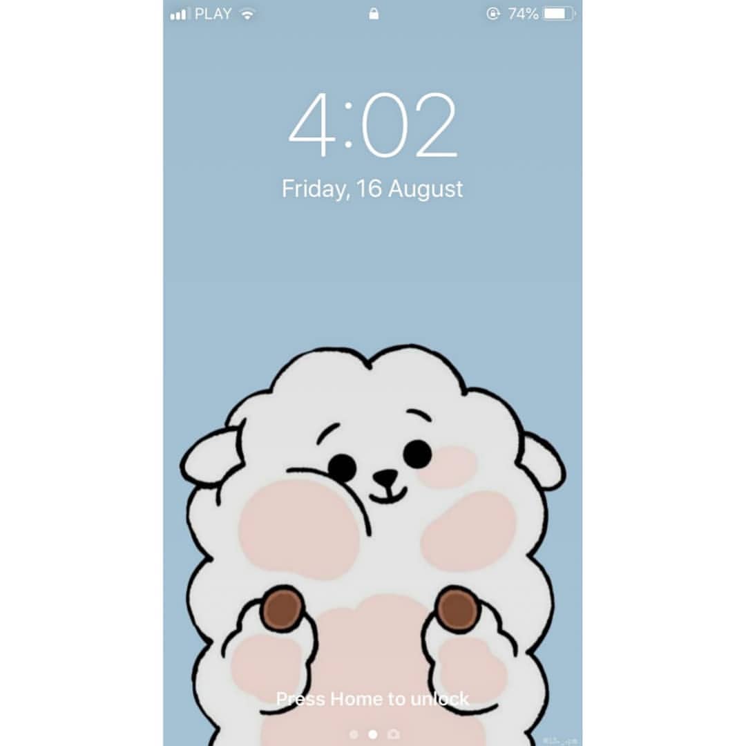 Cooky Bt21 Wallpaper On
