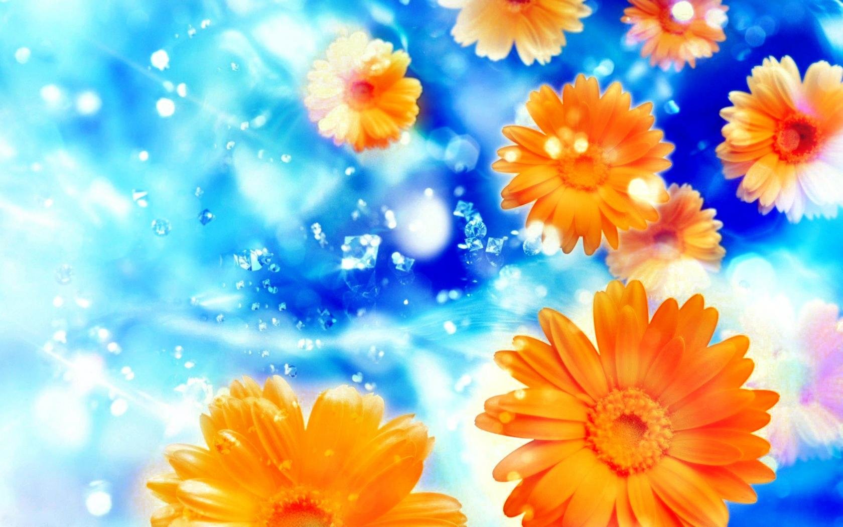 HD Flower Desktop Wallpaper Id For