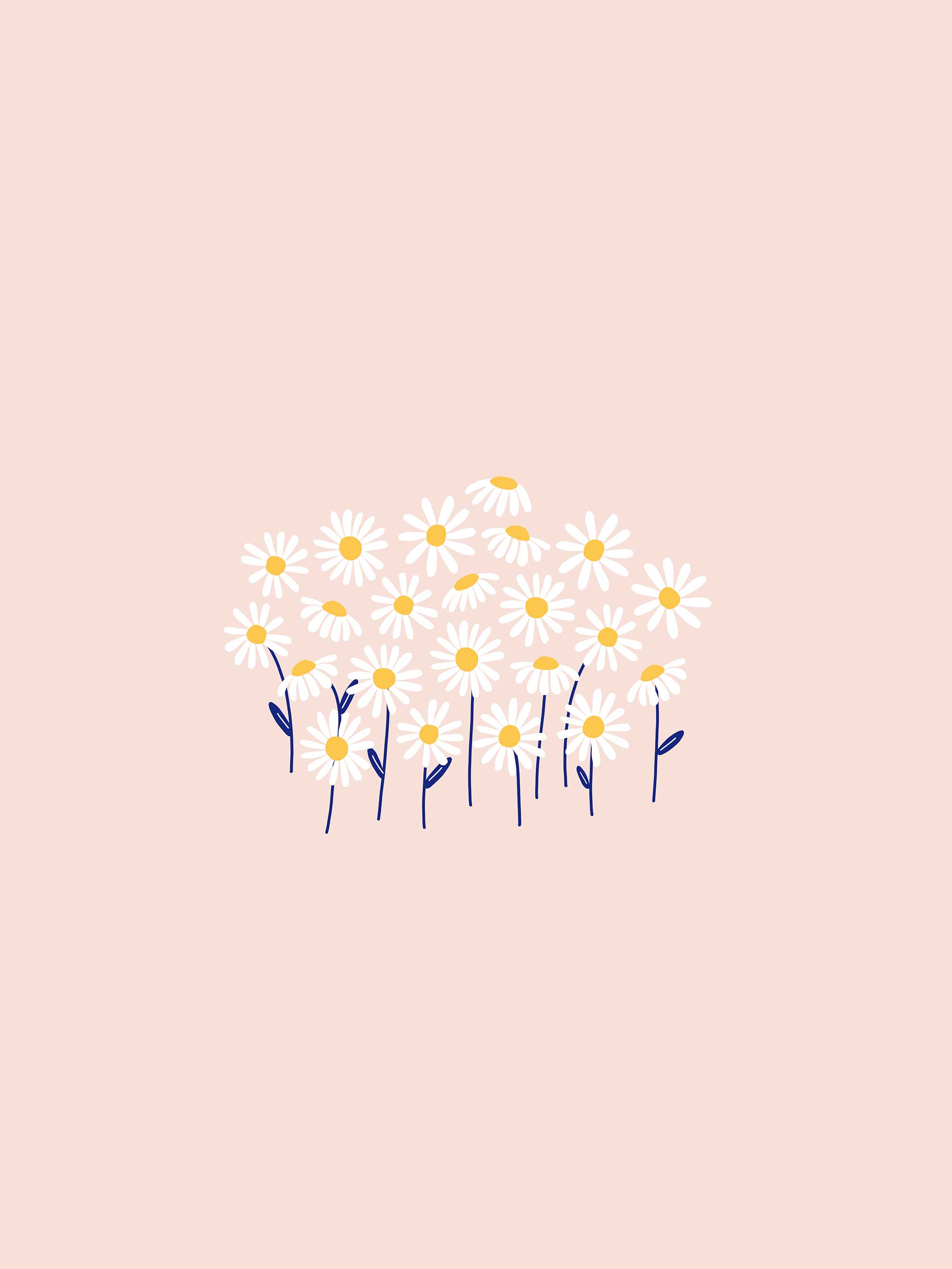 Daisy desktop tablet and phone wallpaper Make and Tell 2000x2666