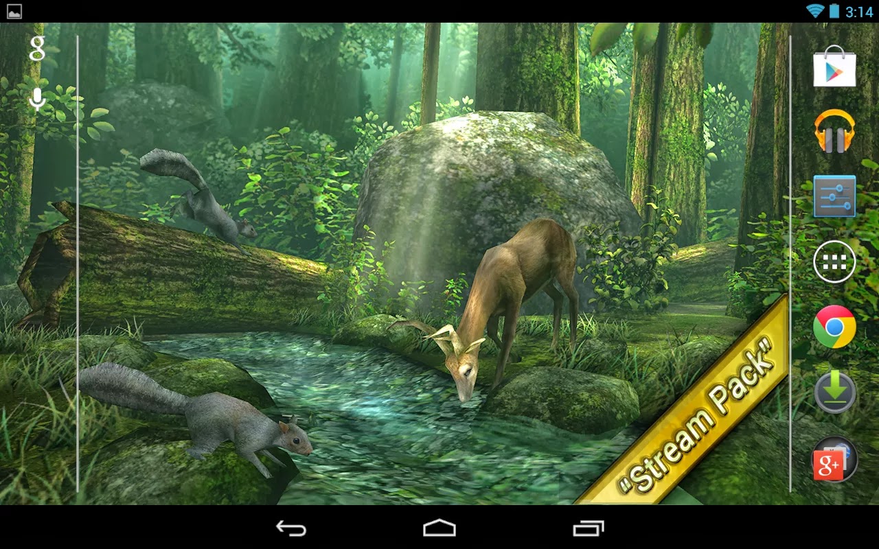 Free download Forest HD Live Wallpaper v14 Apk Download Android Apk