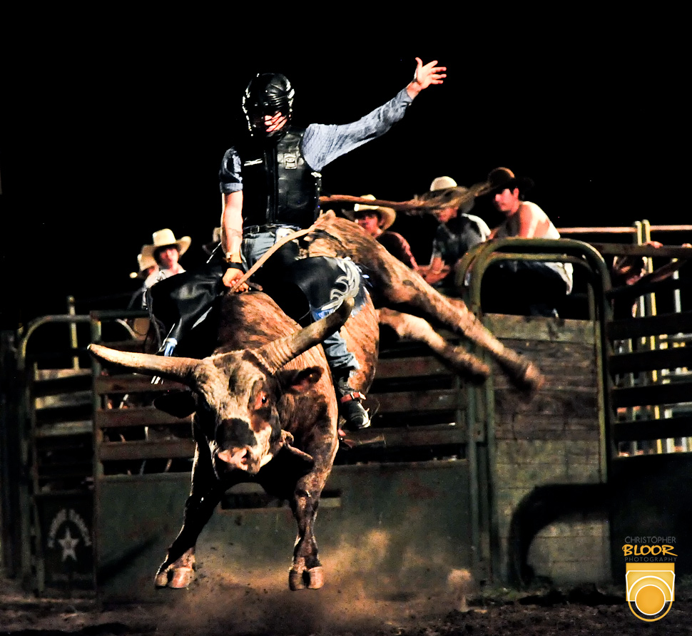Bull Riding Background On