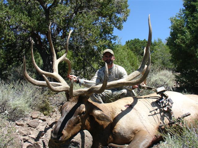 Monster Bull Elk Utah S Boulder Mountains Find Outfitters
