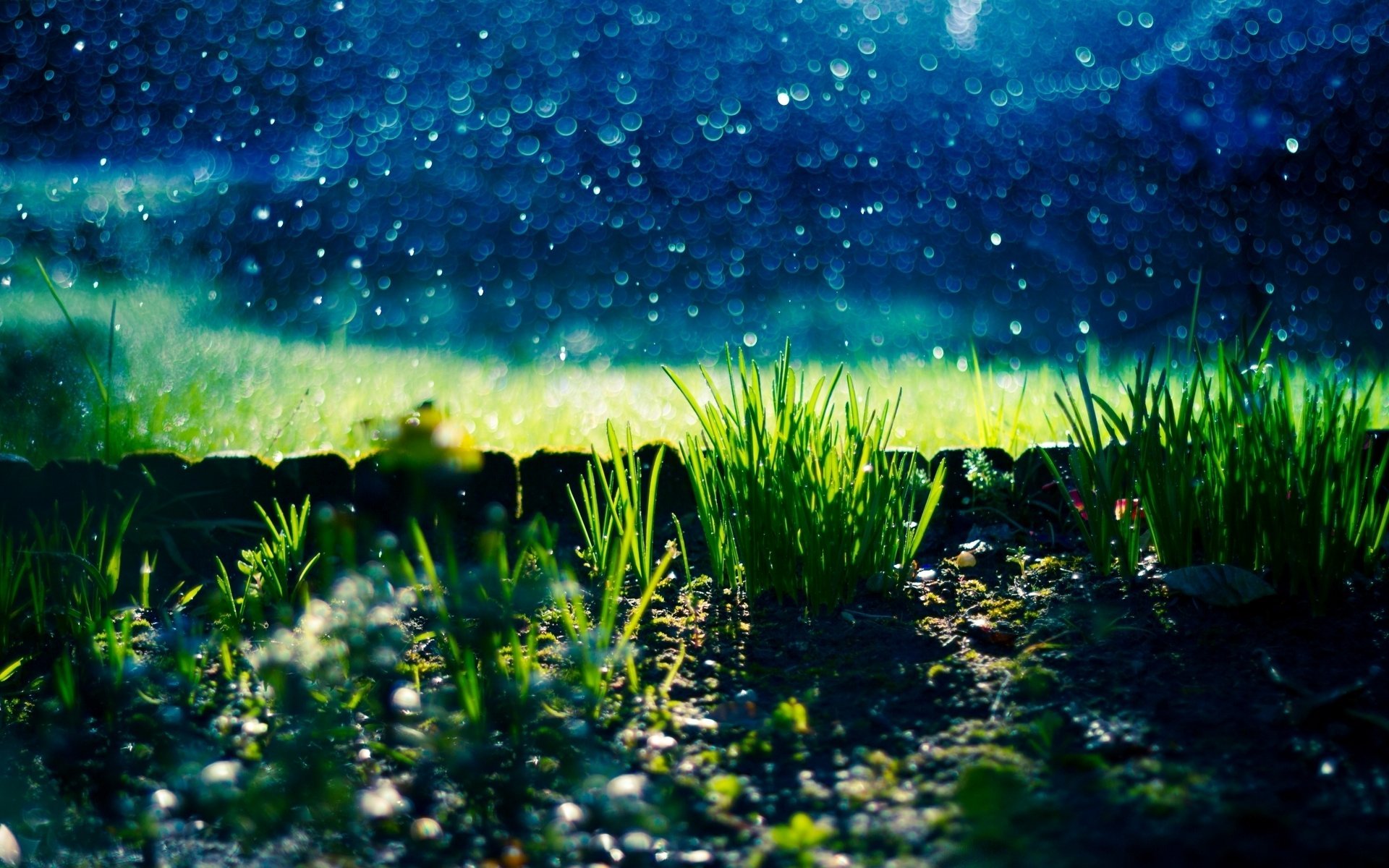 Photo Wallpaper Greens Grass Nature Stones Background Gras