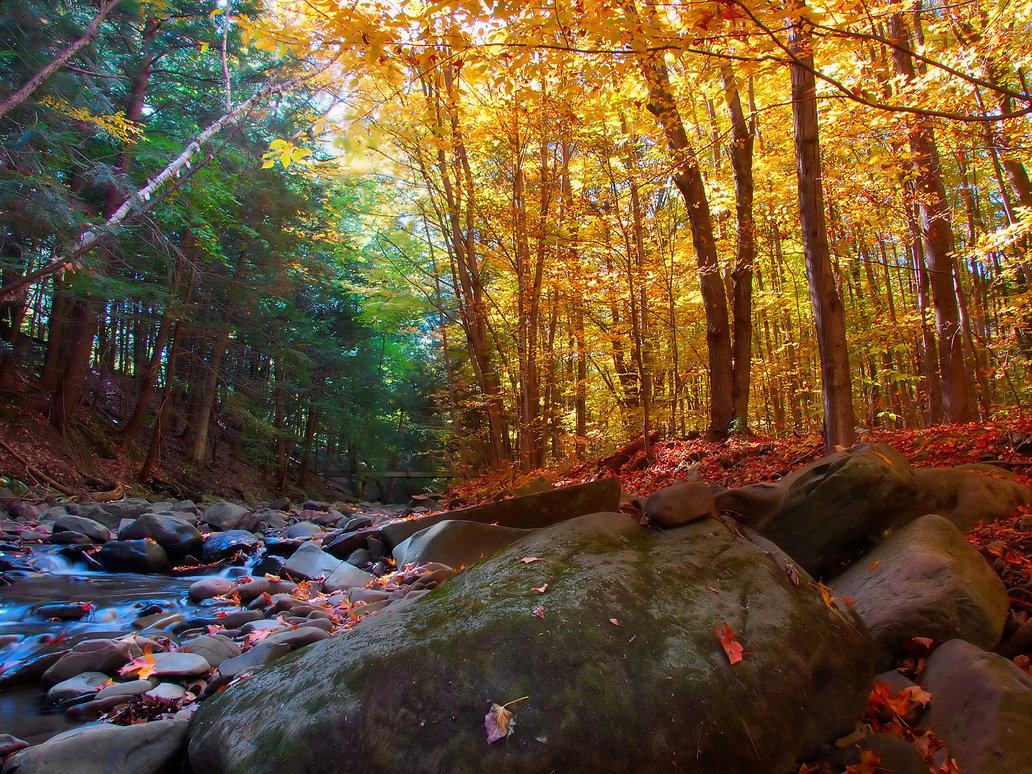 Change Of Seasons Wallpaper By Alienshore